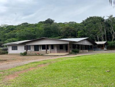 Chcara para Venda, em Nova Petrpolis, bairro Rural, 3 dormitrios, 2 banheiros