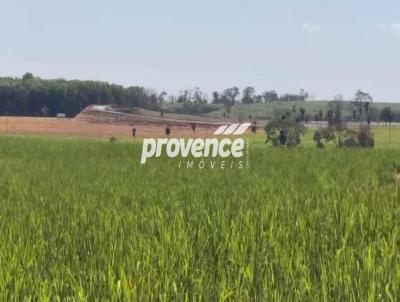 Fazenda para Venda, em Rafard, bairro Centro