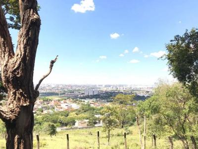 Lote para Venda, em Goinia, bairro Jardim Petrpolis