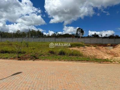 Lote para Venda, em So Joo Del Rei, bairro Campana Del Vento