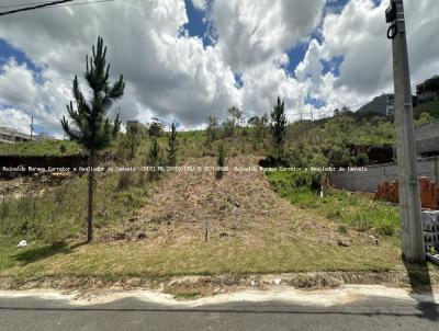 Terreno Urbano para Venda, em Toledo, bairro Geoville