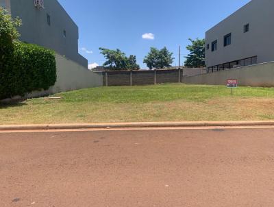 Terreno para Venda, em Ribeiro Preto, bairro Bonfim Paulista