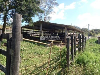 Stio para Venda, em Coronel Xavier Chaves, bairro guas Santas, 2 dormitrios, 1 banheiro