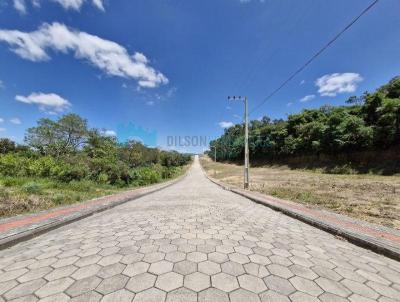 Lote para Venda, em Cocal do Sul, bairro Jardim das Palmeiras