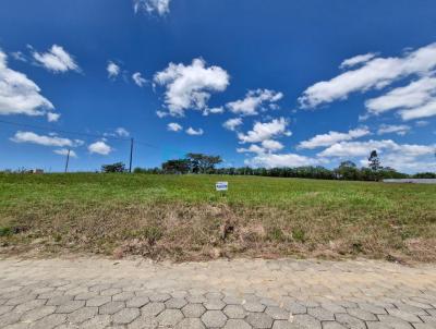 Lote para Venda, em Cocal do Sul, bairro Jardim das Palmeiras