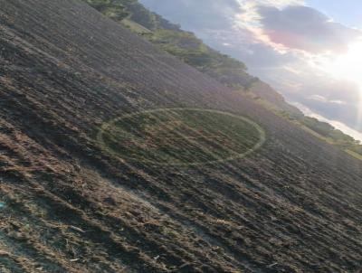 Stio para Venda, em Reserva, bairro .