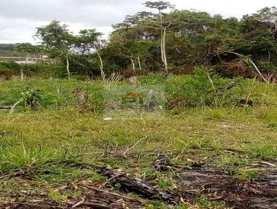 Terreno para Venda, em Camaari, bairro Cajazeiras de Abrantes (Abrantes)