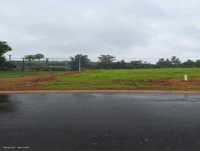 Terreno em Condomnio para Venda, em Jaguarina, bairro Varanda do Jequitiba