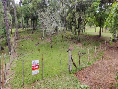 Terreno para Venda, em Campo Alegre, bairro Avenquinha, 2 dormitrios, 1 banheiro