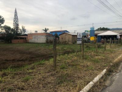 Terreno Comercial para Locao, em Imbituba, bairro Araatuba