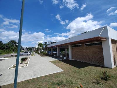 Lote para Venda, em Manaus, bairro Ponta Negra