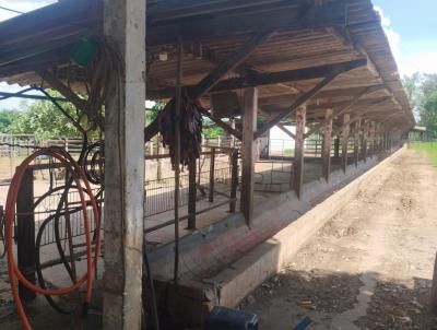 Stio para Venda, em Mococa, bairro RURAL