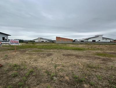 Lote para Venda, em Cocal do Sul, bairro Unio