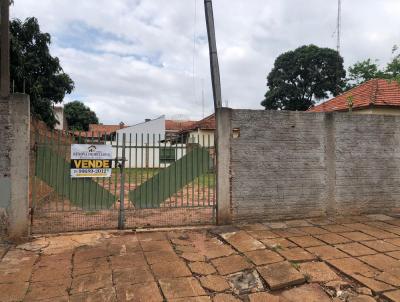 Terreno para Venda, em Presidente Epitcio, bairro SANTA ROSA