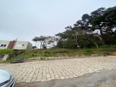 Terreno para Venda, em Caxias do Sul, bairro LOTEAMENTO RESIDENCIAL PEDRAS ALTAS