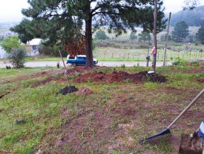 Terreno para Venda, em Santana do Livramento, bairro rea Rural de Santana do Livramento