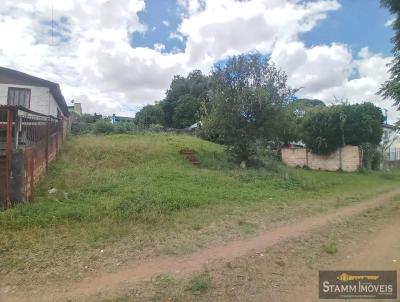 Terreno para Venda, em Carazinho, bairro Centro