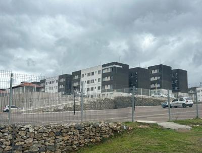 Apartamento para Venda, em Campo Largo, bairro Bom Jesus, 2 dormitrios, 1 banheiro, 1 vaga