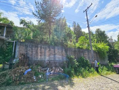 Terreno para Venda, em Trs Coroas, bairro Mundo Novo III