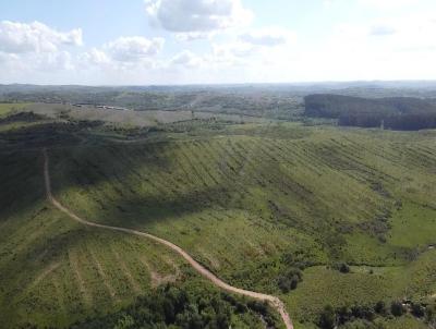 rea Rural para Venda, em Pinheiro Machado, bairro 2 Distrito