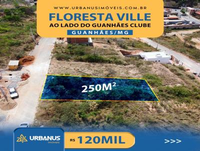 Lote para Venda, em Guanhes, bairro Floresta Ville