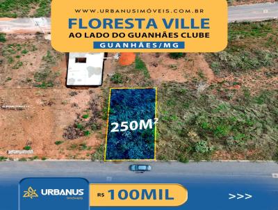 Lote para Venda, em Guanhes, bairro Floresta Ville