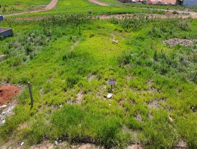 Terreno para Venda, em Siqueira Campos, bairro Vila Nova