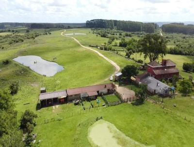 rea Rural para Venda, em Pinheiro Machado, bairro Pinheiro Machado