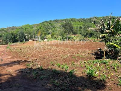 Chcara para Venda, em Sapiranga, bairro Centenrio