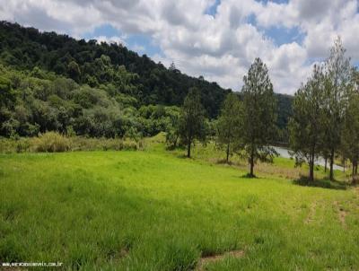 Terreno para Venda, em Jarinu, bairro gua Preta