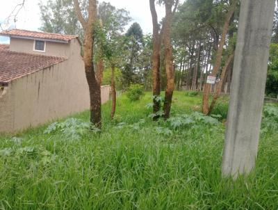 Terreno para Venda, em Bom Jesus dos Perdes, bairro CIDADE NOVA