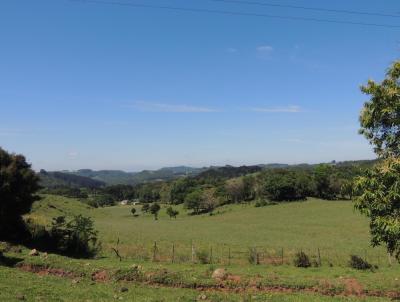 rea Rural para Venda, em , bairro Capela Santo Isidoro