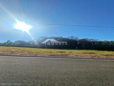 Terreno para Venda, em Franca, bairro Jardim Riviera