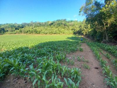 Stio / Chcara para Venda, em Santa Maria do Herval, bairro Boa Vista do Herval