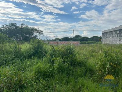 Terreno para Venda, em Itanham, bairro Gaivota