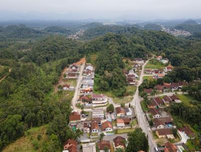 Terreno para Venda, em Joinville, bairro Nova Braslia