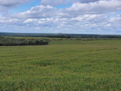 Fazenda para Venda, em Pedro Afonso, bairro Zona Rural