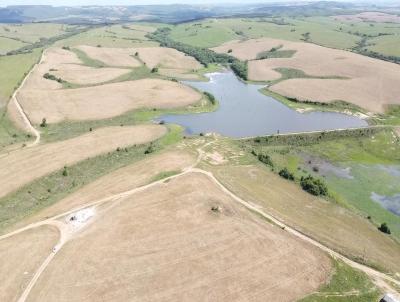 rea Rural para Venda, em Canguu, bairro 2 Distrito de Canguu