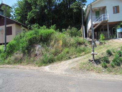 Terreno para Venda, em Concrdia, bairro Dos Estados