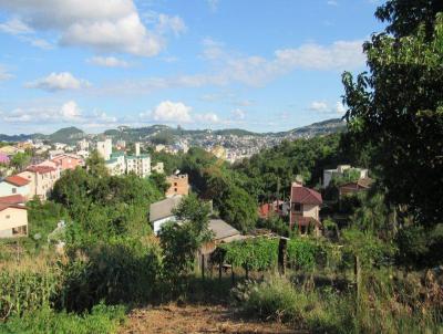 Terreno para Venda, em Concrdia, bairro Petrpolis