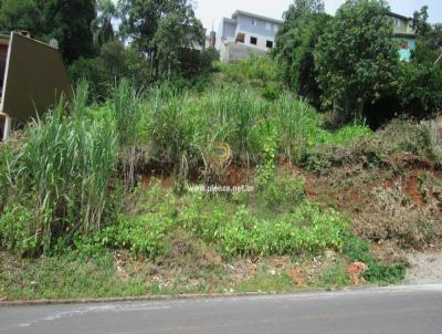 Terreno para Venda, em Concrdia, bairro Das Naes