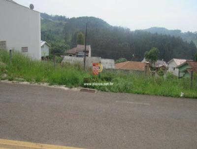 Terreno para Venda, em Concrdia, bairro Sintrial