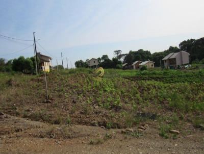 Terreno para Venda, em Concrdia, bairro Rural