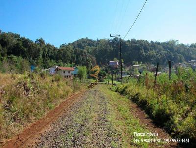 Terreno para Venda, em Concrdia, bairro Vila Jacob Biezus