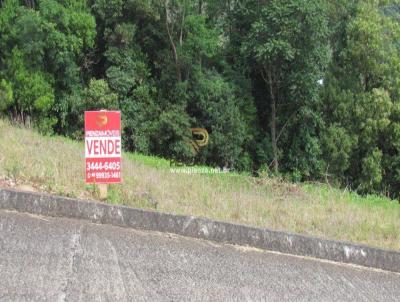 Terreno para Venda, em Concrdia, bairro Naes