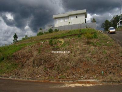 Terreno para Venda, em Concrdia, bairro Naes