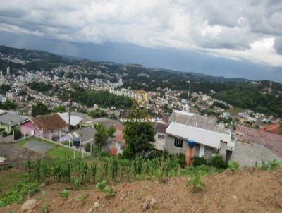 Terreno para Venda, em Concrdia, bairro Naes