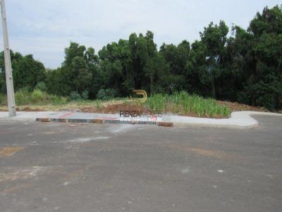 Terreno para Venda, em Concrdia, bairro Naes