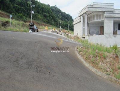 Terreno para Venda, em Concrdia, bairro Santa Cruz