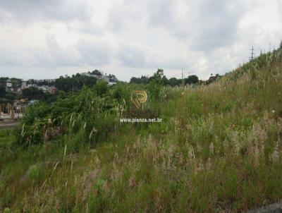 Terreno para Venda, em Concrdia, bairro Santa Cruz